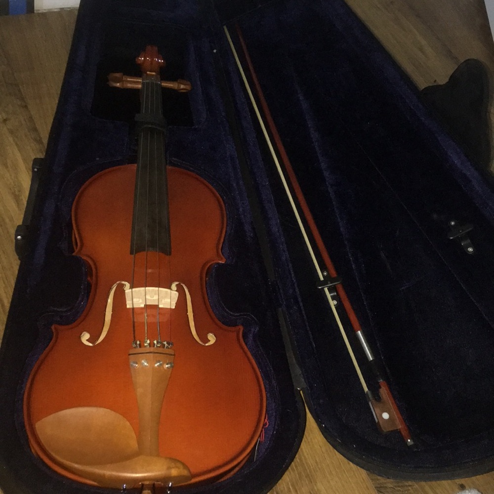 Viola